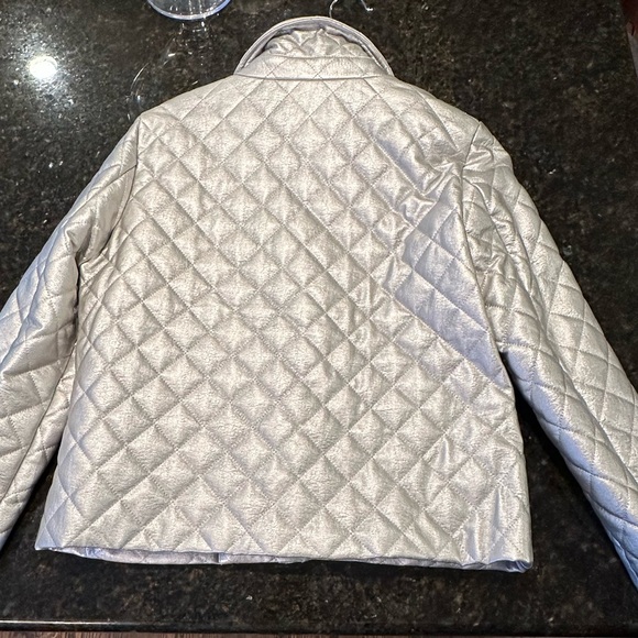 J. Society Silver Quilted Moto Jacket - Picture 4 of 5